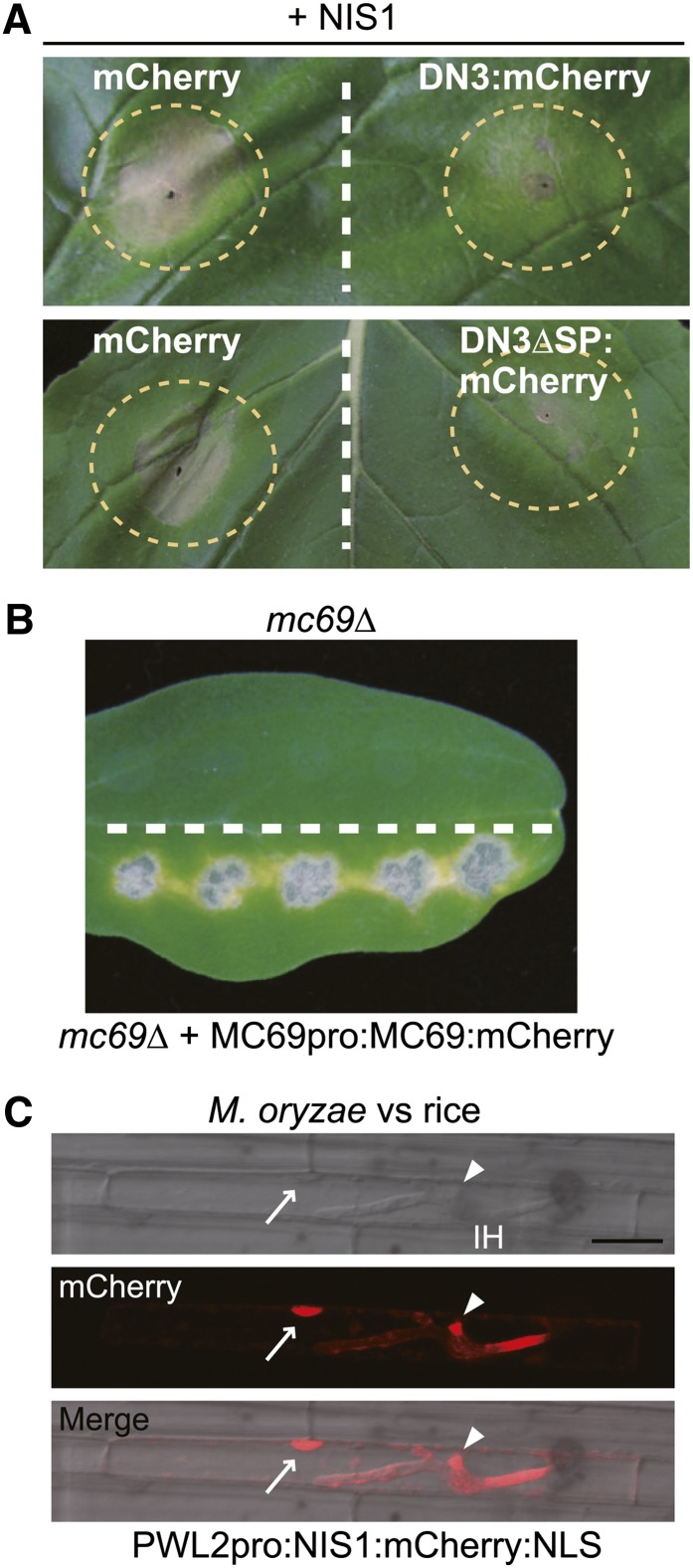 Figure 2.