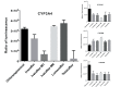 Fig. (1)