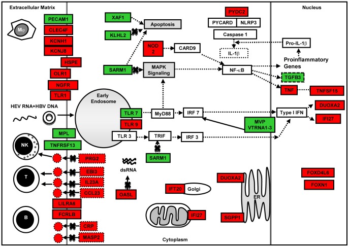 Figure 11