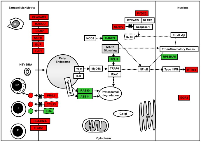 Figure 10