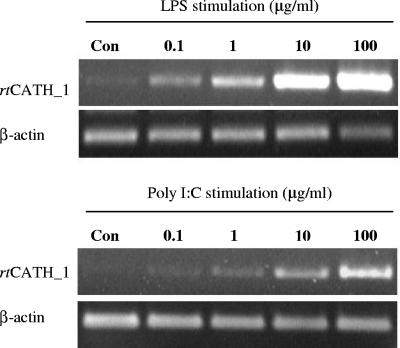 FIG. 8.