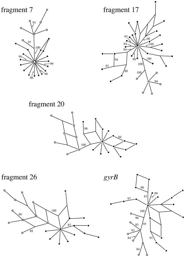 Figure 3.—