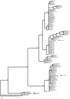 F<sc>igure</sc> 2.—
