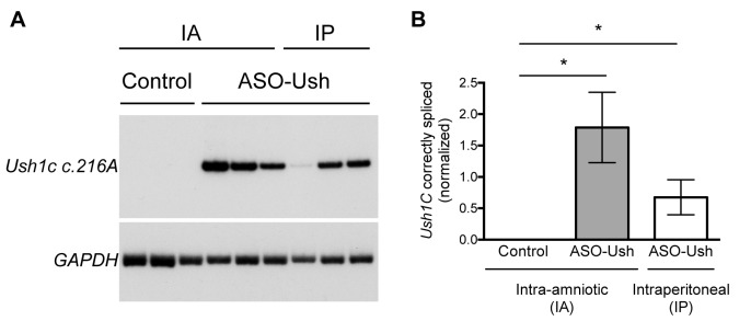 Figure 6.