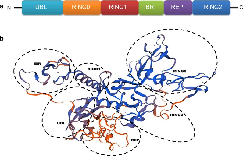 Fig. 1