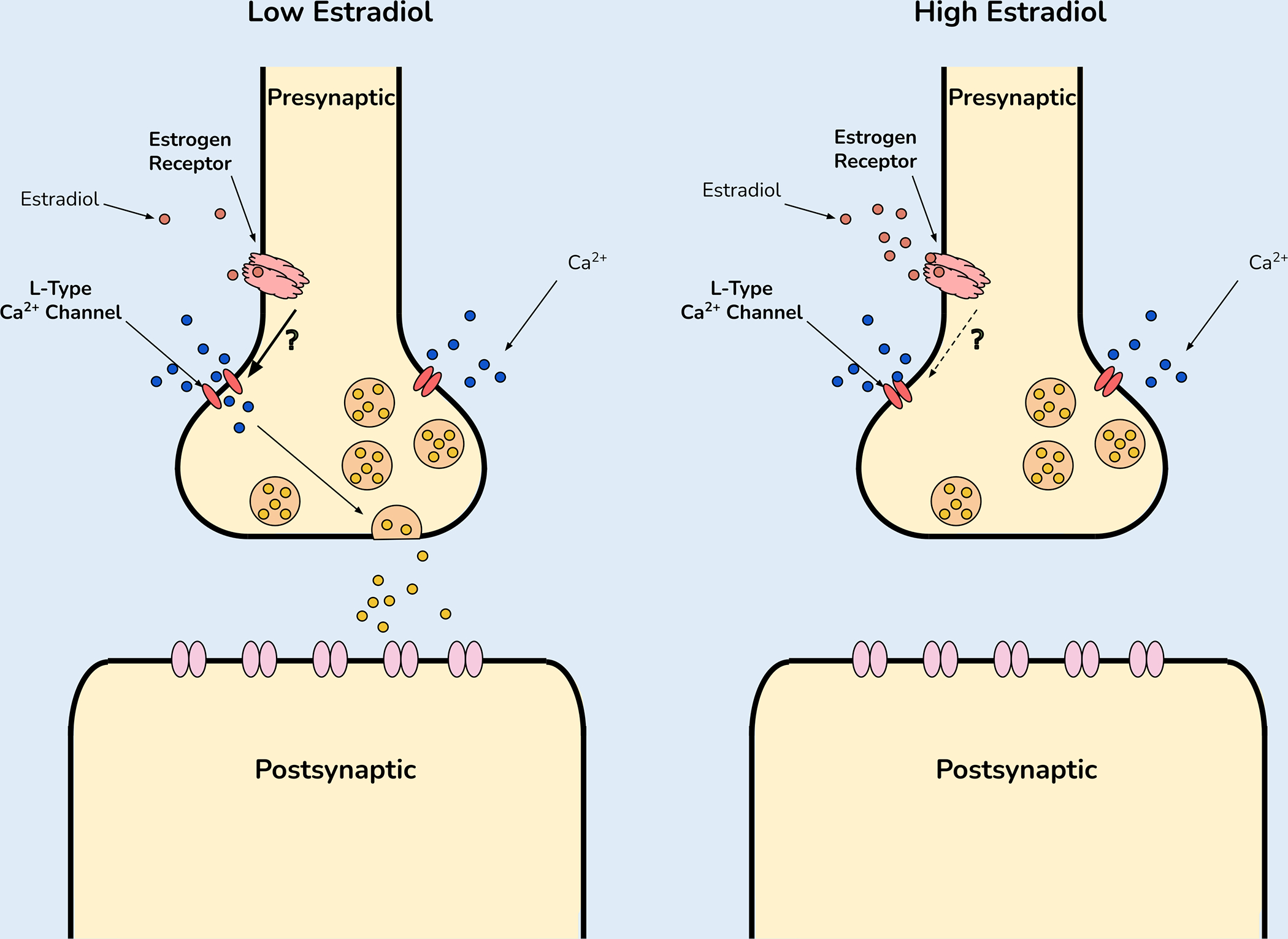 Figure 3: