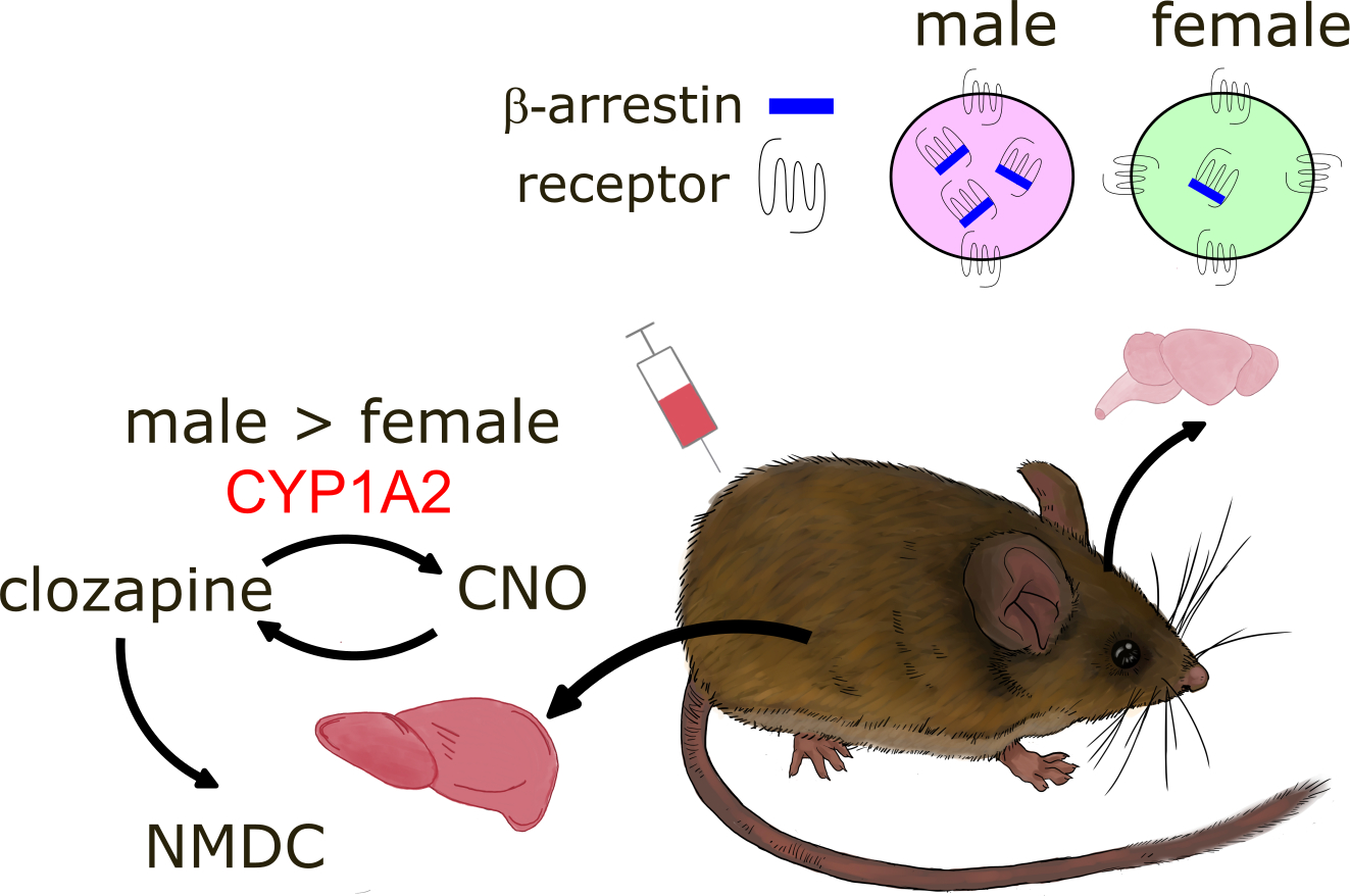 Figure 1: