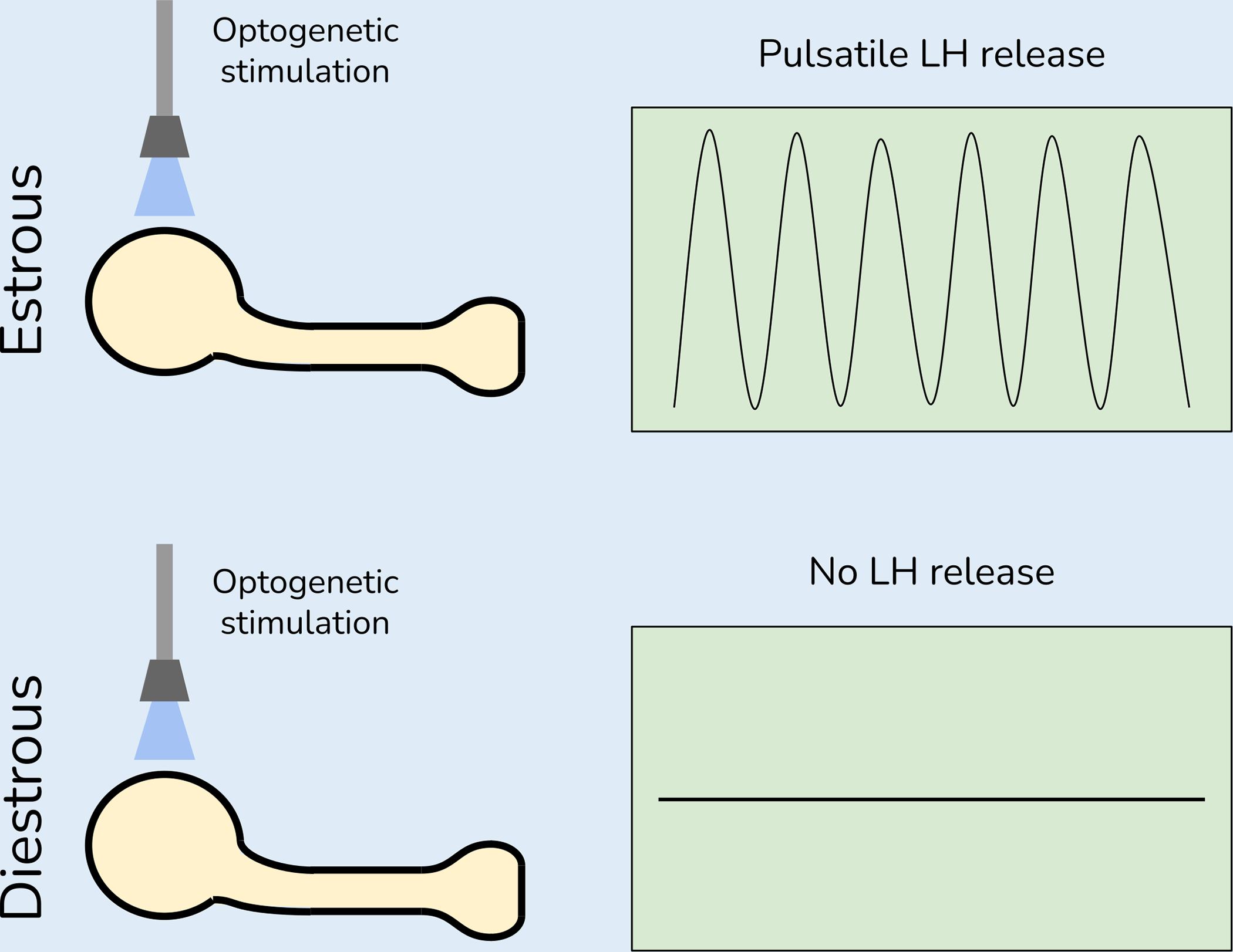 Figure 2: