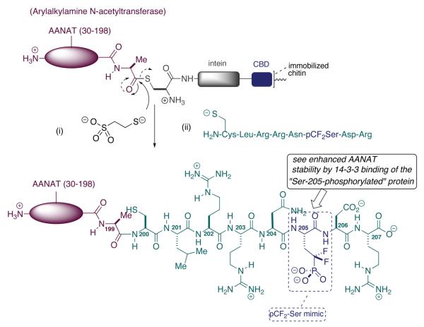 Scheme 7