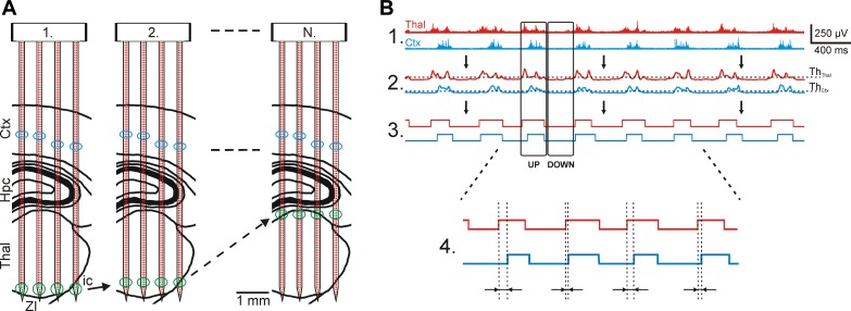 Fig. 6.