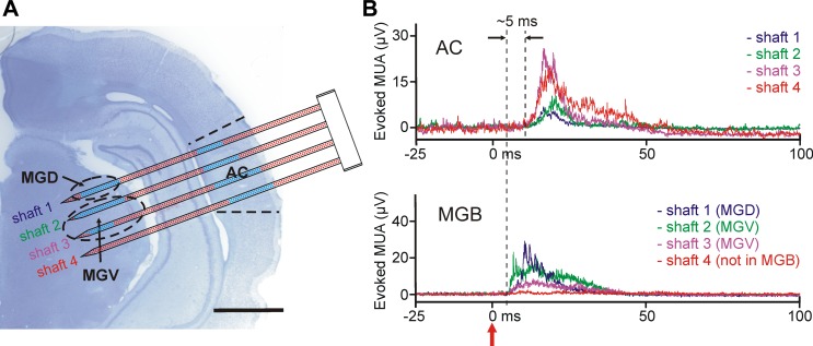 Fig. 9.