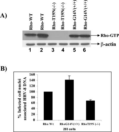 FIG. 8.