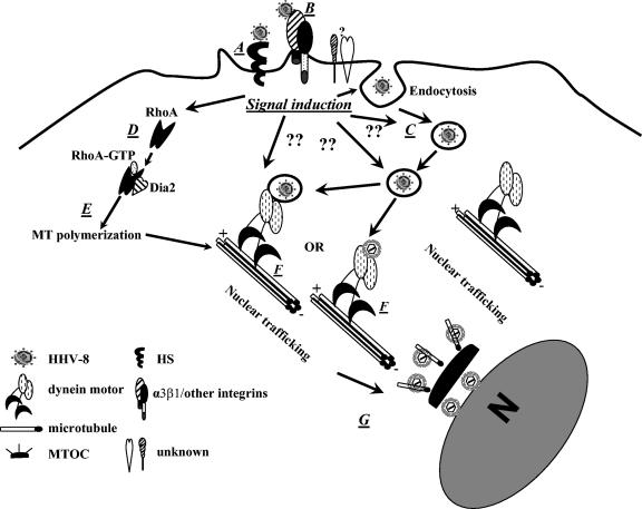 FIG. 11.