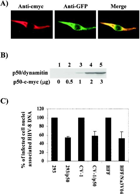 FIG. 10.