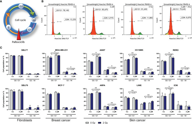 Figure 4