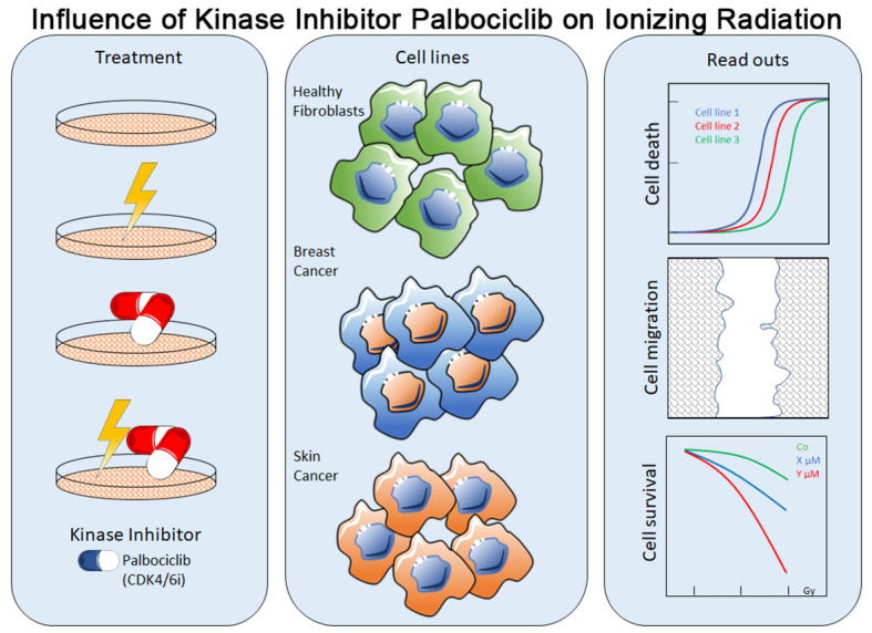 Graphical Abstract