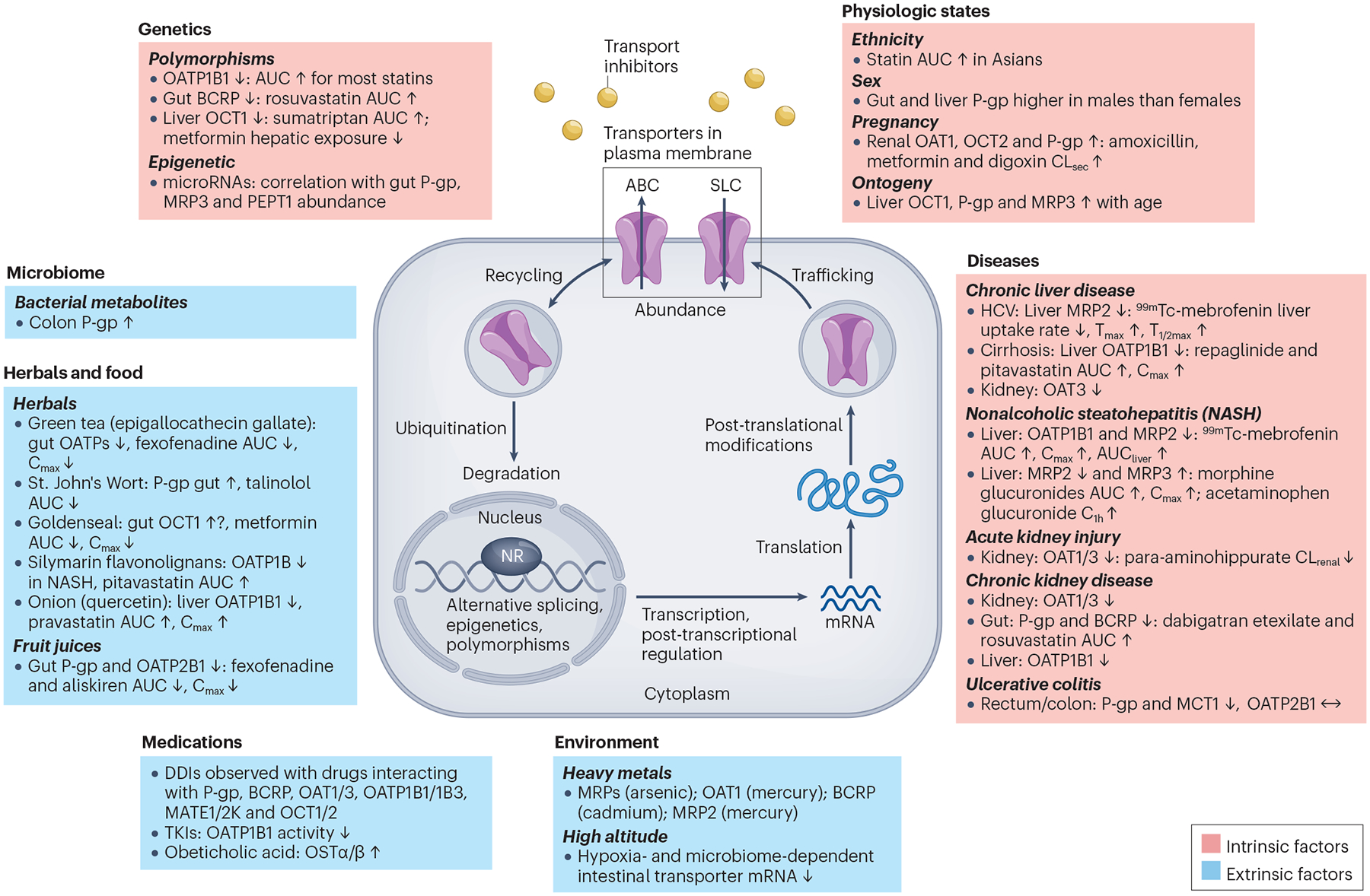 Fig. 2 |