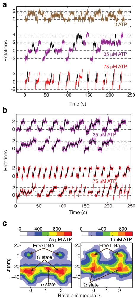 Figure 5