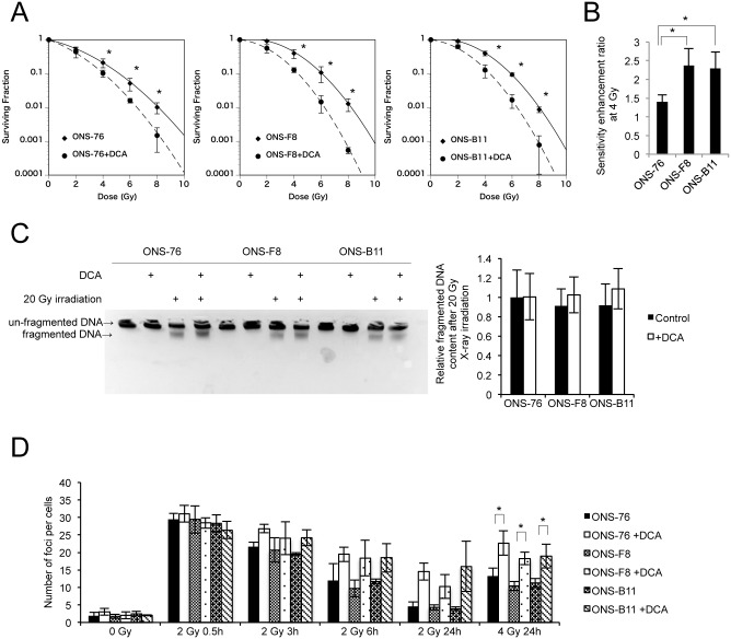 Fig 6