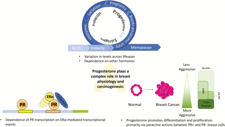 Graphical Abstract