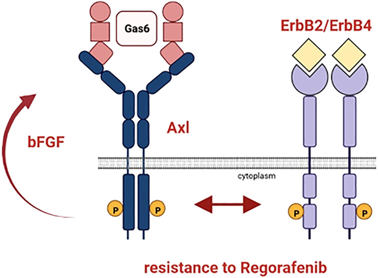 Figure 7