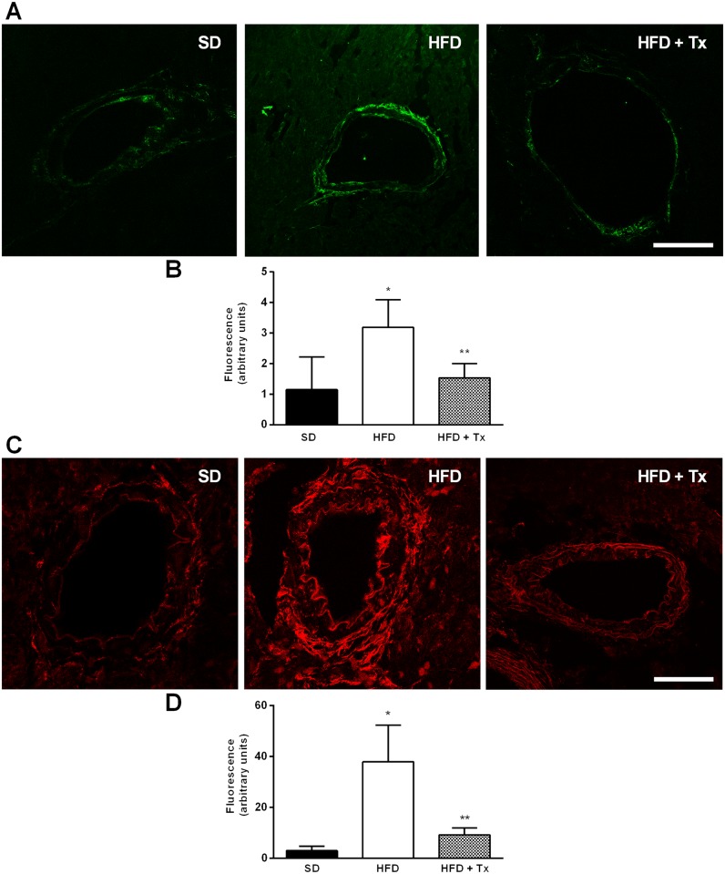 Fig 4