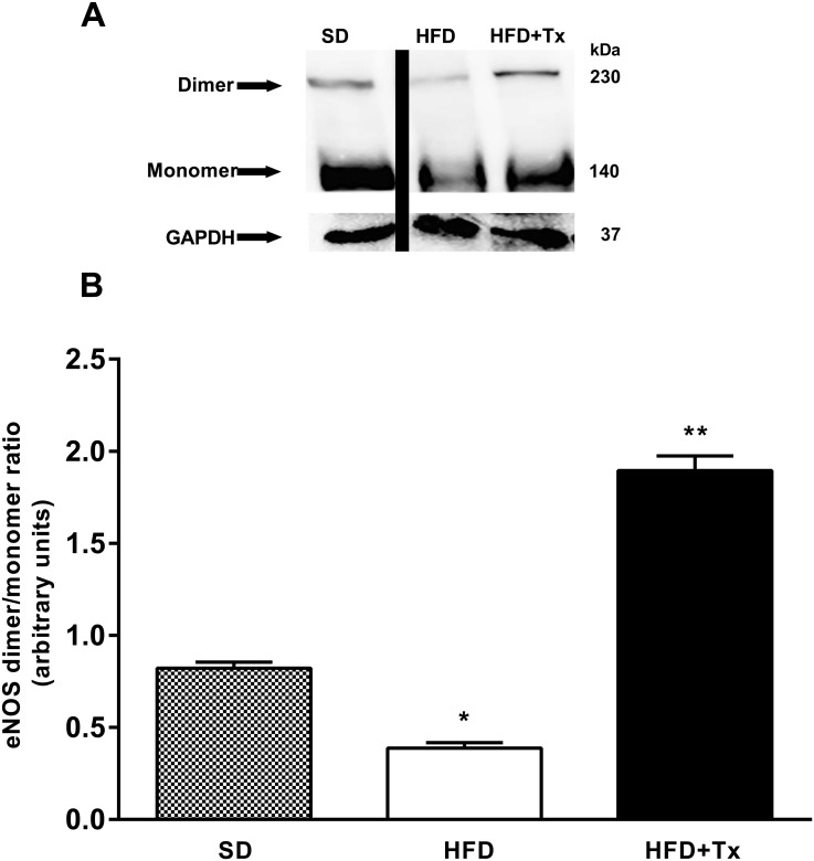 Fig 5