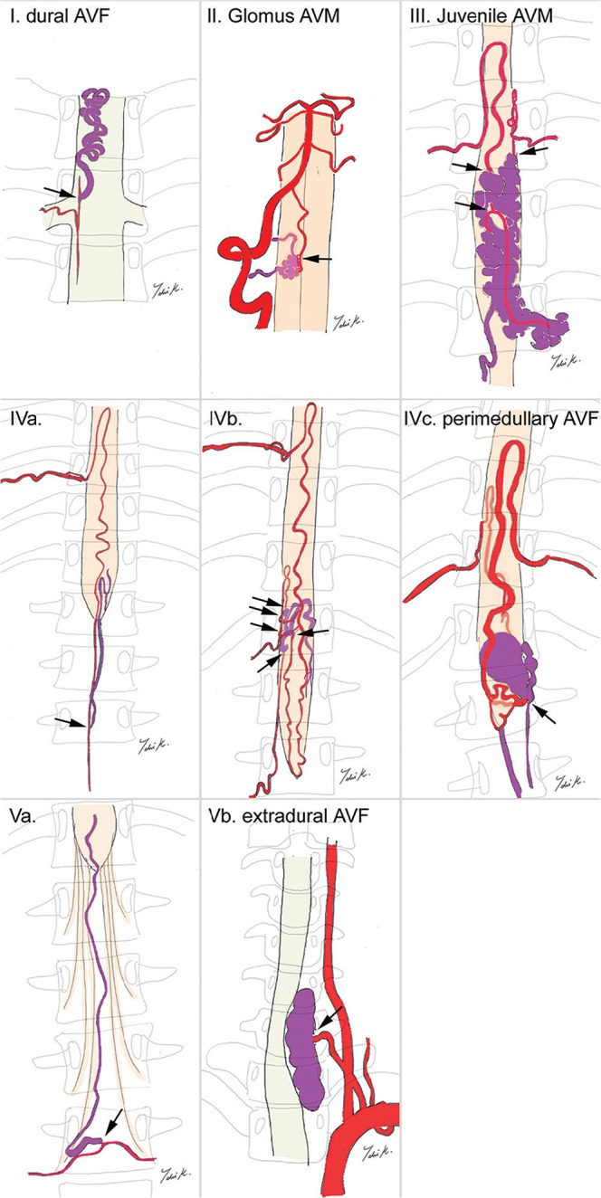 Fig. 7