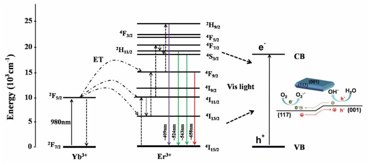 Figure 7