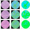 Fig. 4