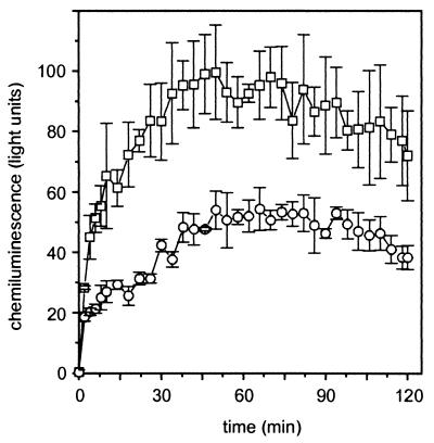 FIG. 6