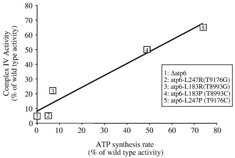 Fig. 6