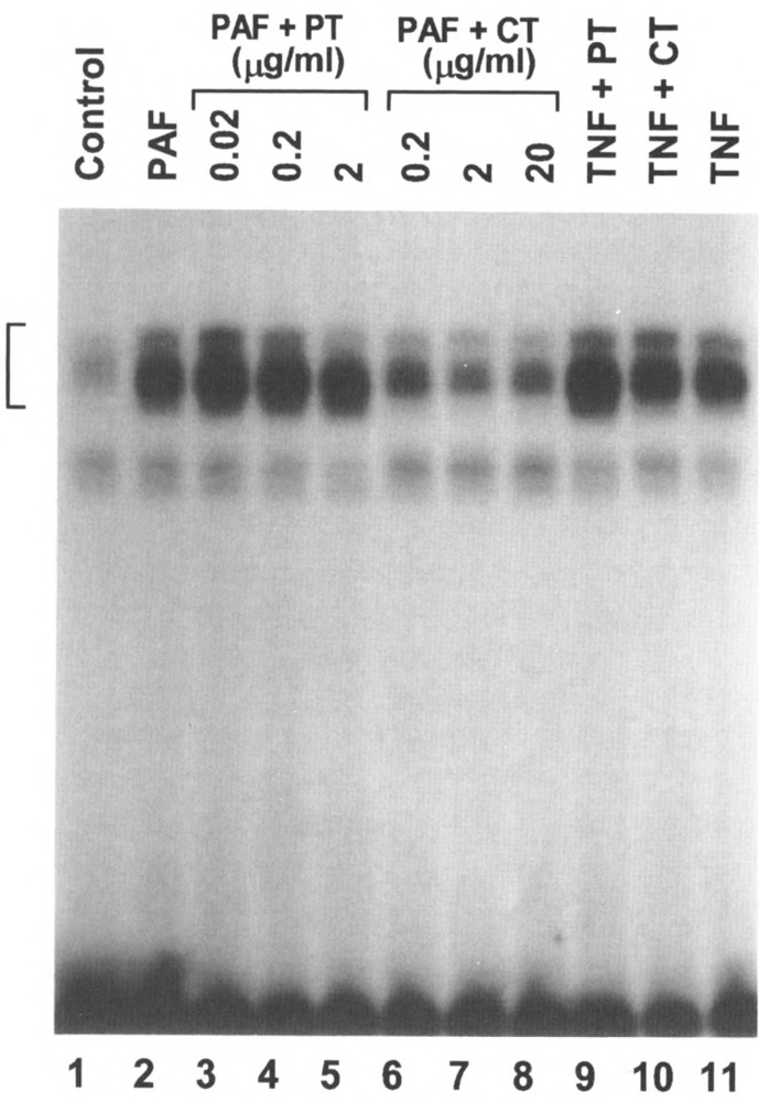 FIG. 10