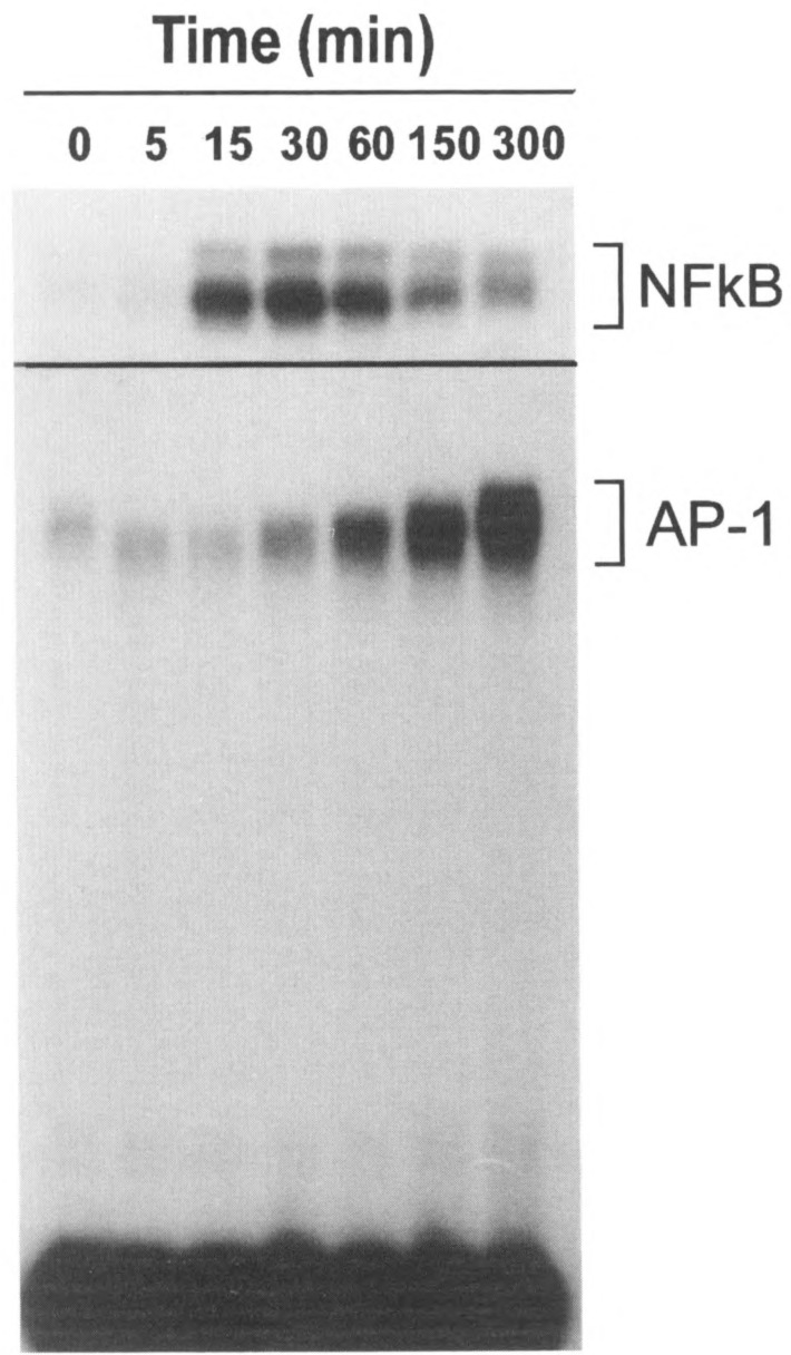 FIG. 7