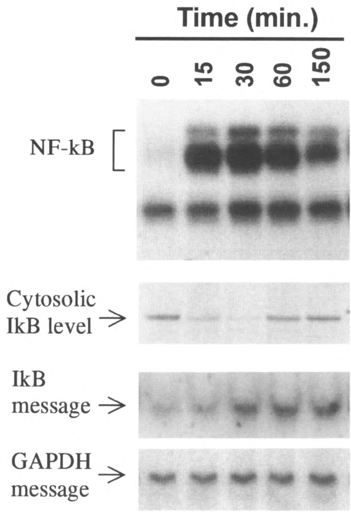 FIG. 5