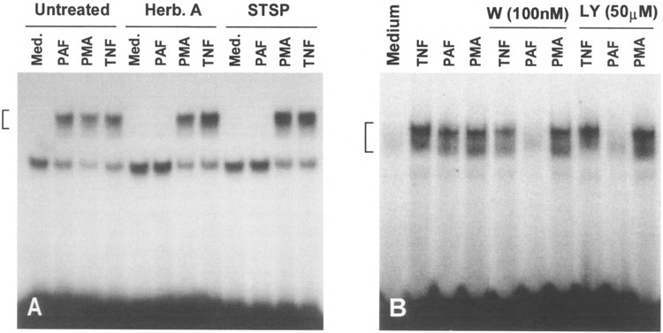 FIG.11