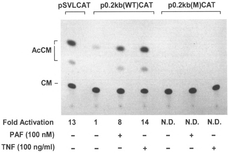 FIG. 6