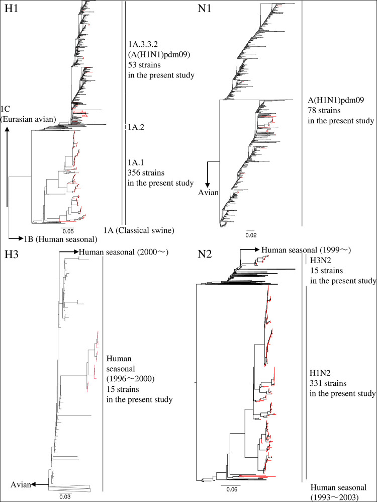 FIG 1