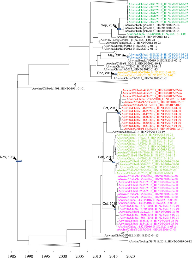 FIG 6