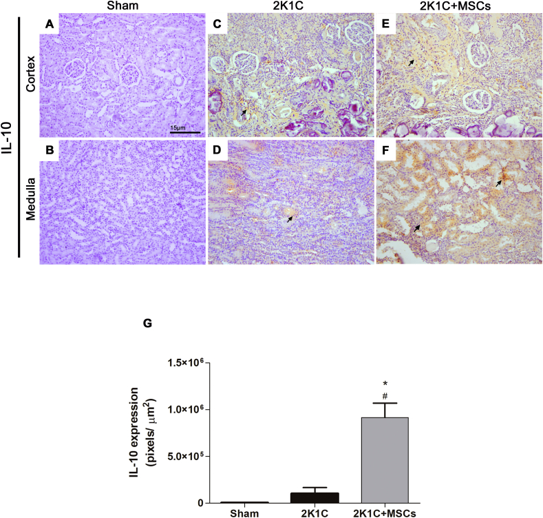 Fig. 7