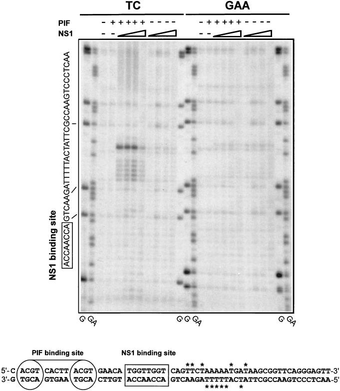 FIG. 4.