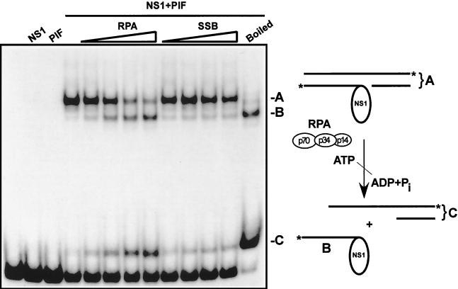 FIG. 5.