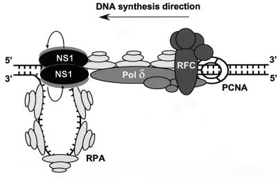 FIG. 9.