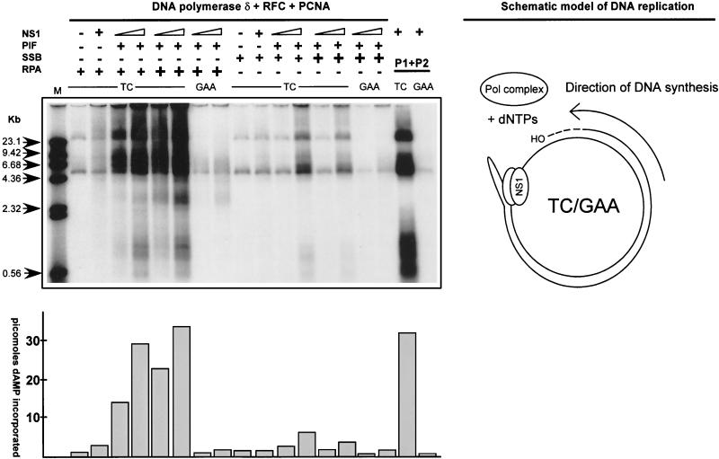 FIG. 7.