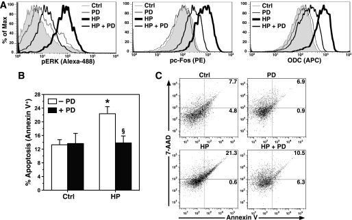 FIGURE 11.