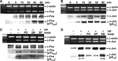 FIGURE 4.