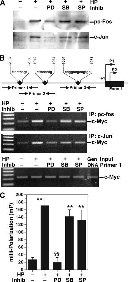 FIGURE 9.