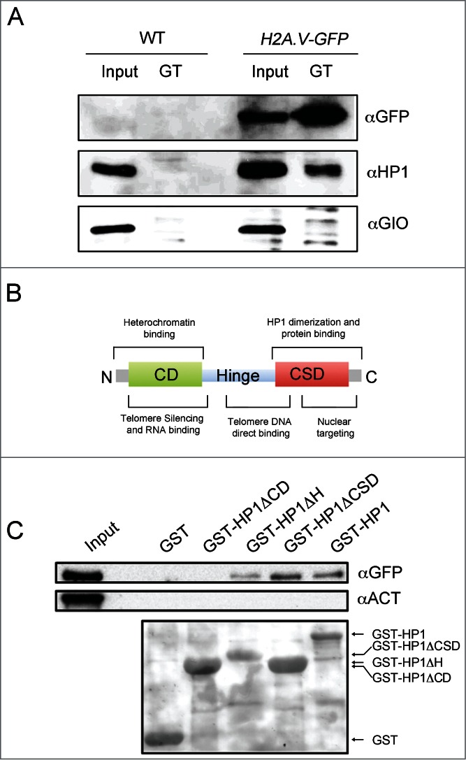 Figure 6.