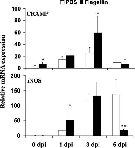 FIG. 6.