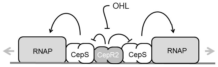 Fig. 9